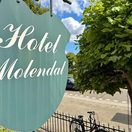 Molendal Hotel 3*