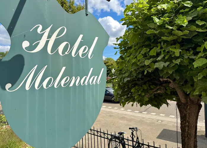 Molendal Hotel 3*
