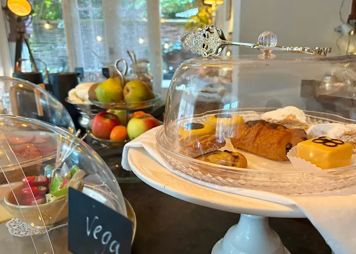 Отель Molendal 3*